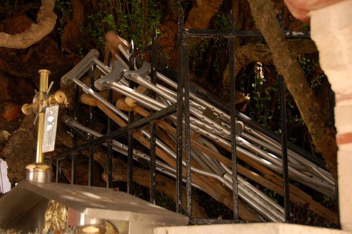 Μια από τις μεγαλύτερες σε ηλικία Μυρτιές στον κόσμο βρίσκεται στο Ηράκλειο