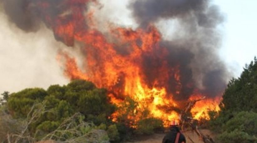 fire in Vasiliki forest