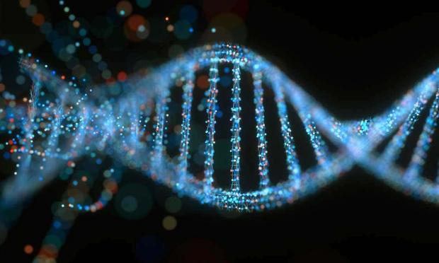 dna