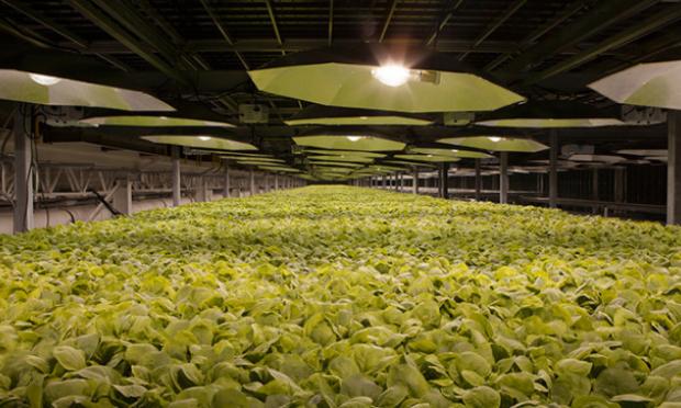 British American Tobacco