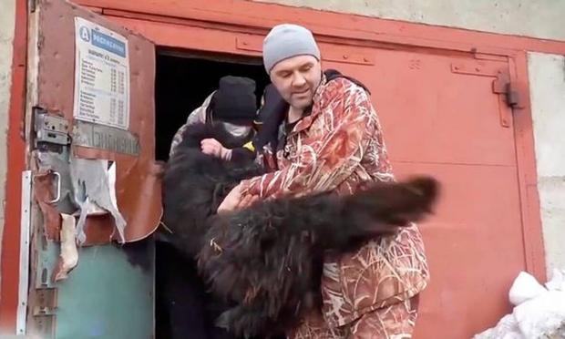 Εγκαταλειμμένος σκύλος