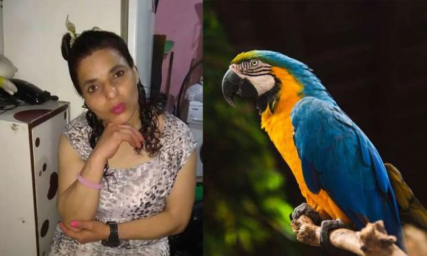 παπαγάλος μάρτυρας