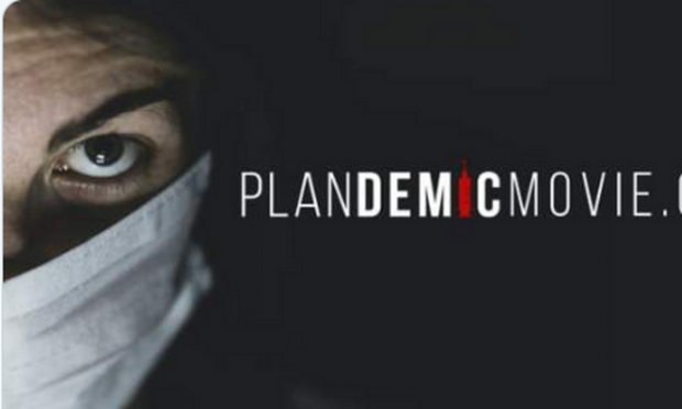 Plandemic