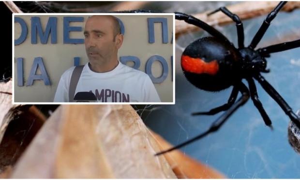 Μαύρη χήρα