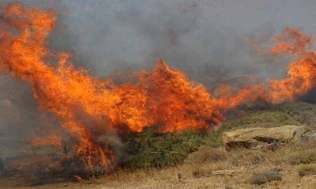 Πυρκαγιά στη Ράχη Αχαΐας