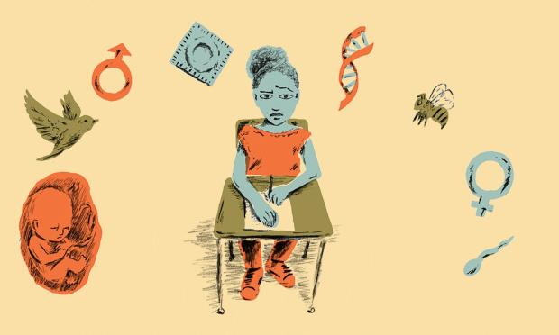 σεξουαλική διαπαιδαγώγηση