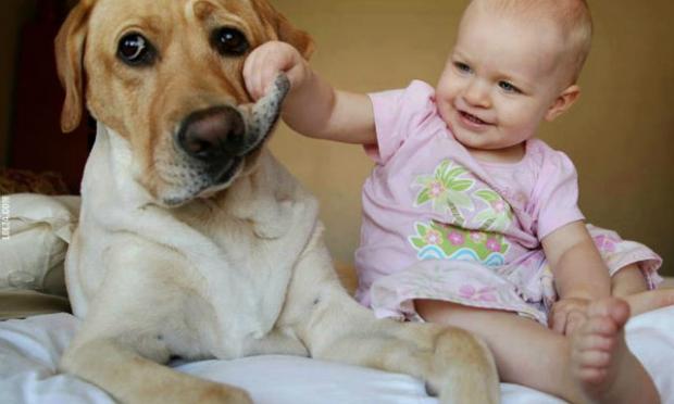 σκυλος και παιδί