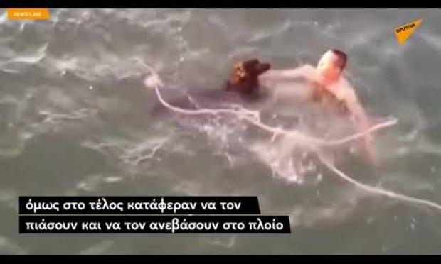 Επιβάτες φέρι μποτ σκύλος
