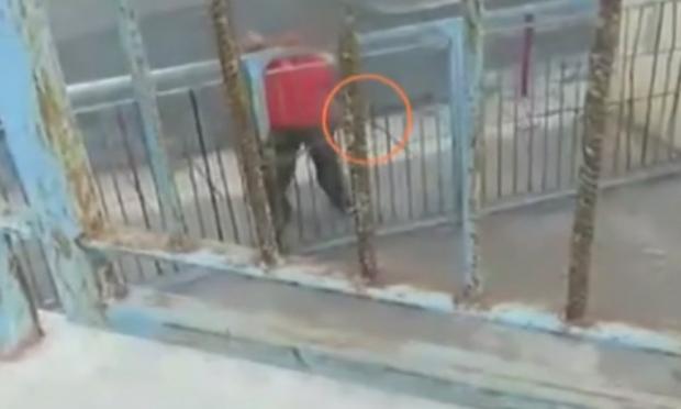 Κρήτη μαθητες τσεκούρι