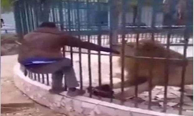 ργαζόμενος σε ζωολογικό κήπο