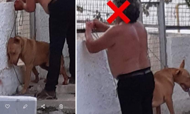 υπάλληλος ΔΕΗ