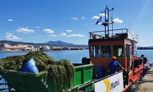 φορτηγίδα Αλκίππη
