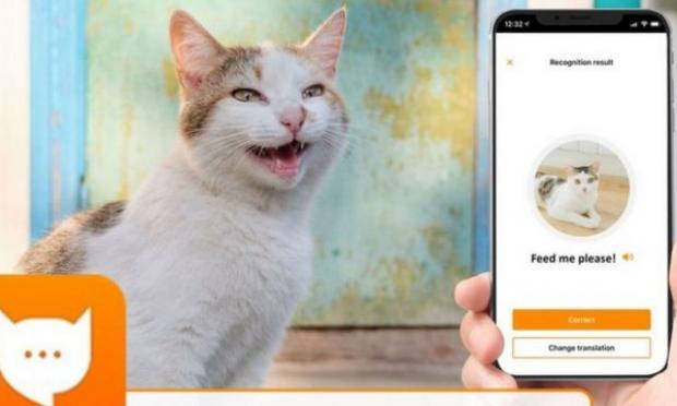 MeowTalk