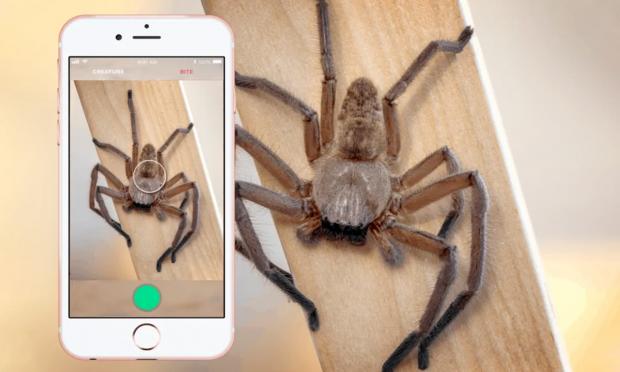 Critterpedia app