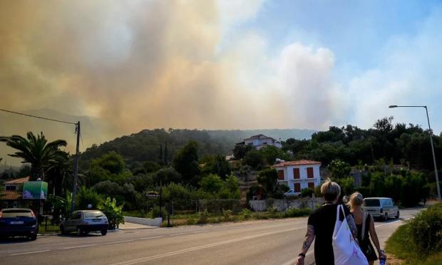 Κοκκάρι Σάμου