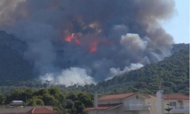 φωτιά στην Αλμυρή