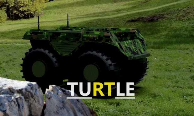 Turtle