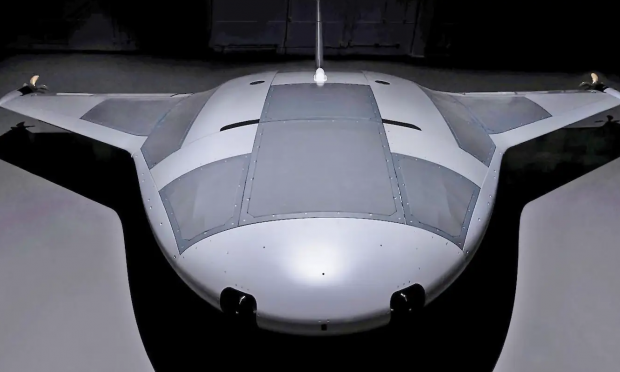 Manta Ray