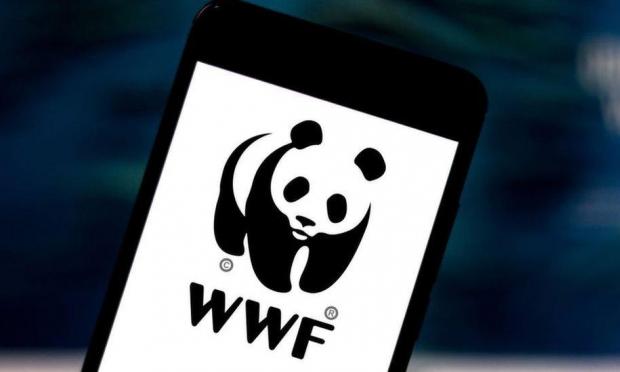 WWF