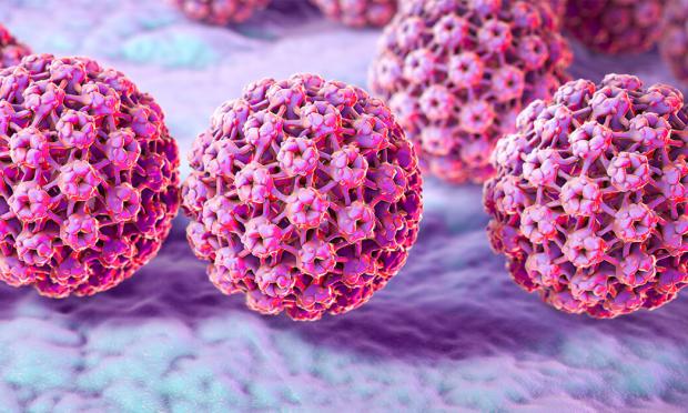 HPV