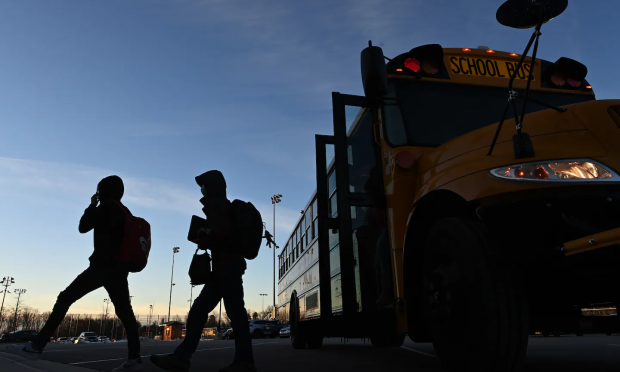 bus