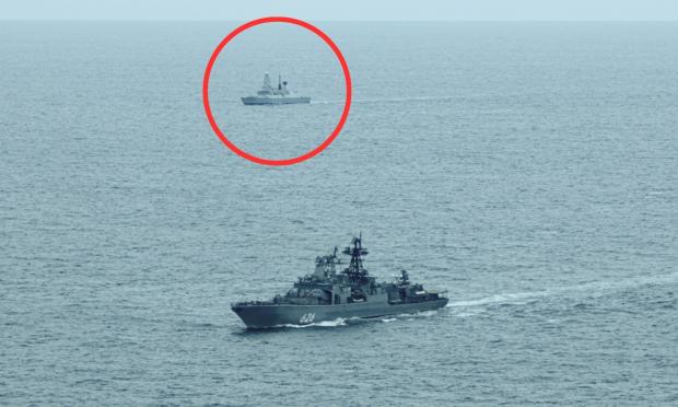 nato-rosia-ploia
