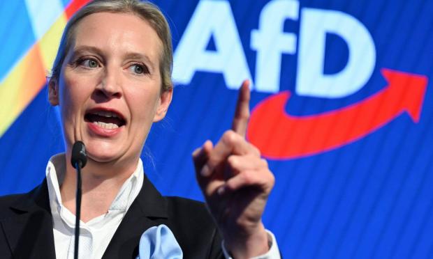 AfD - Γερμανία