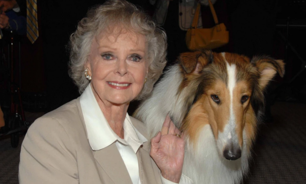 lassie