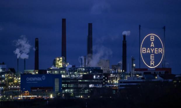 Bayer