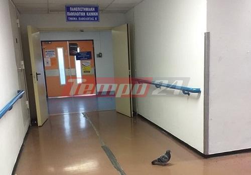 νοσοκομείο Πάτρας