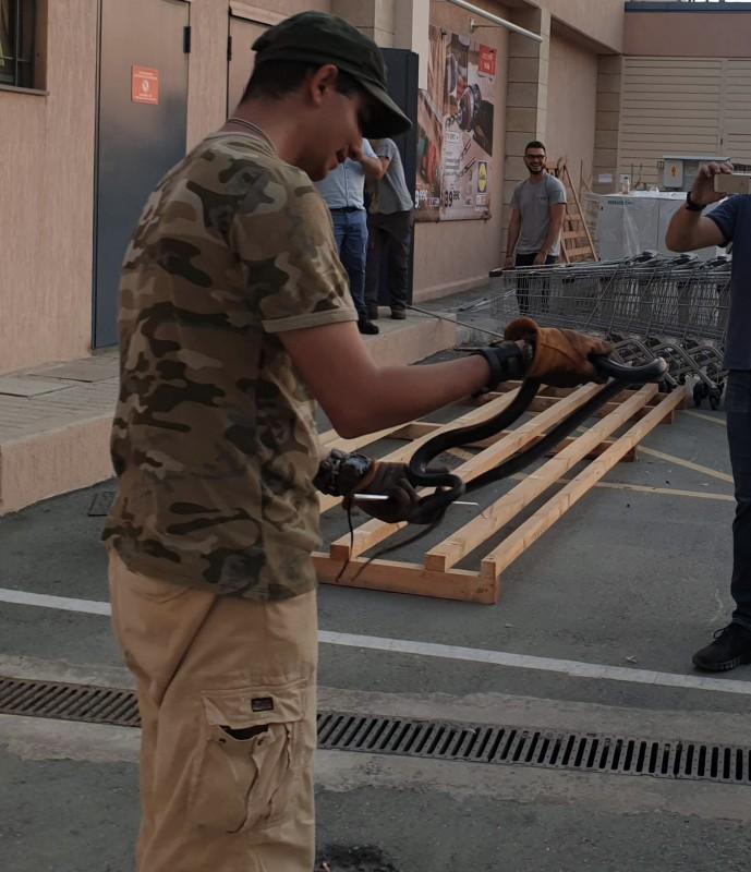 Ειδικός Φίδια Κύπρος