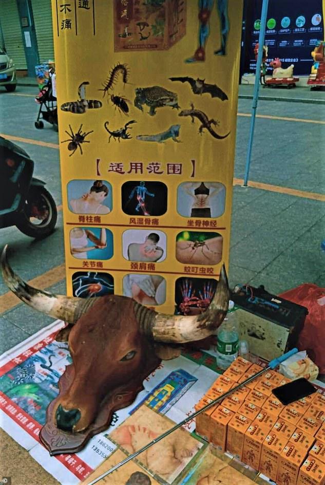 Ζώα στην Κίνα