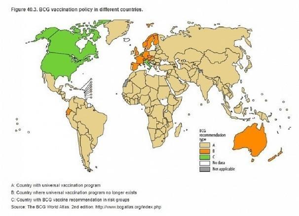 Πολιτική εμβολιασμού BCG