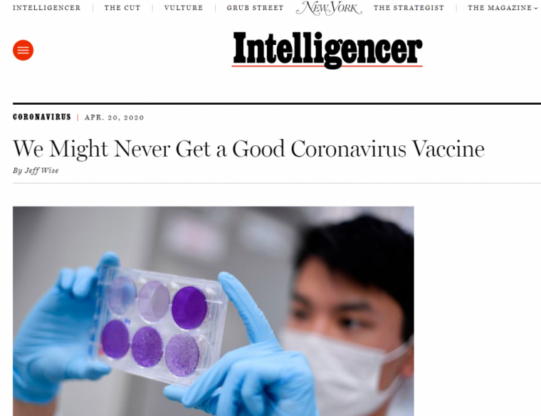 intelligencer
