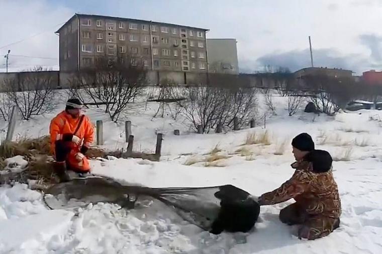 Εγκαταλειμμένος σκύλος