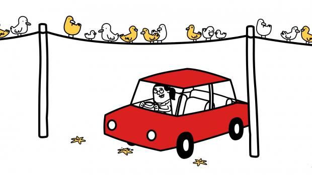 περιττώματα πουλιών και αυτοκίνητο