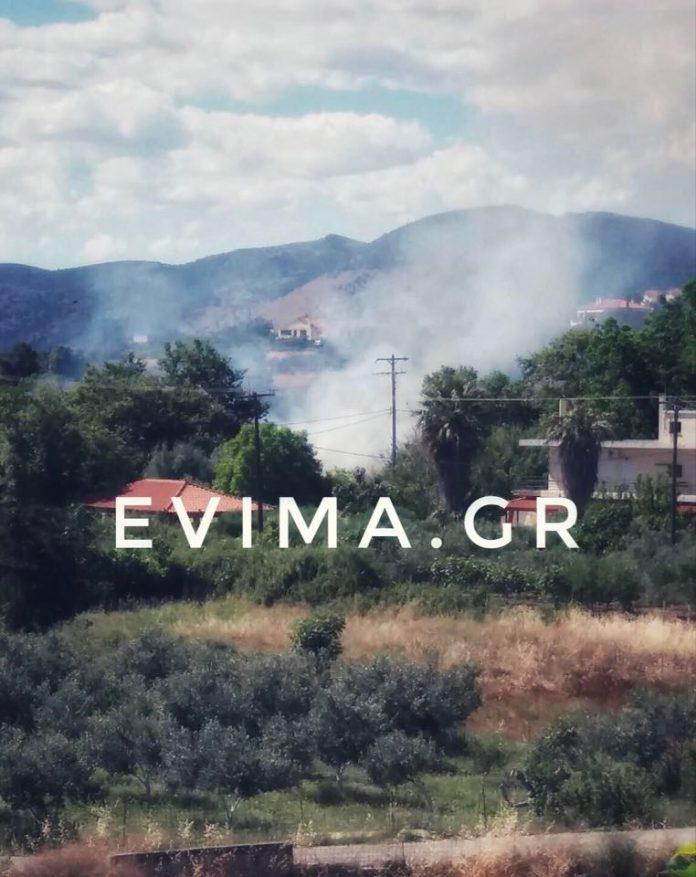 Νέα Στύρα Ευβοίας