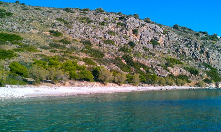 Ρόμβη