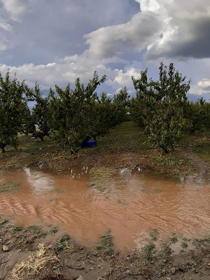 Βελβεντό Κοζάνης