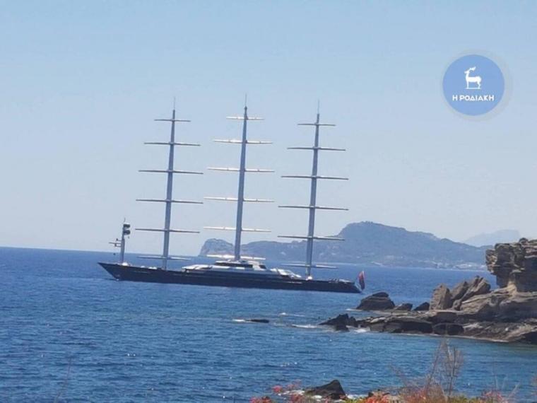 Γεράκι της Μάλτας