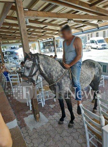 άλογο στα Χανιά