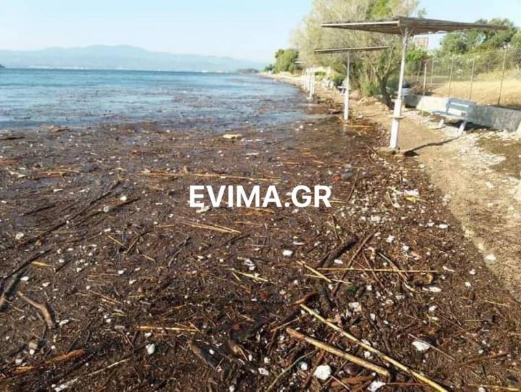 παραλία στην Ερέτρια