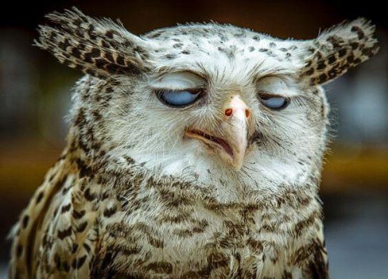 1. Θα έπρεπε να πάω για ύπνο νωρίτερα το βράδυ …