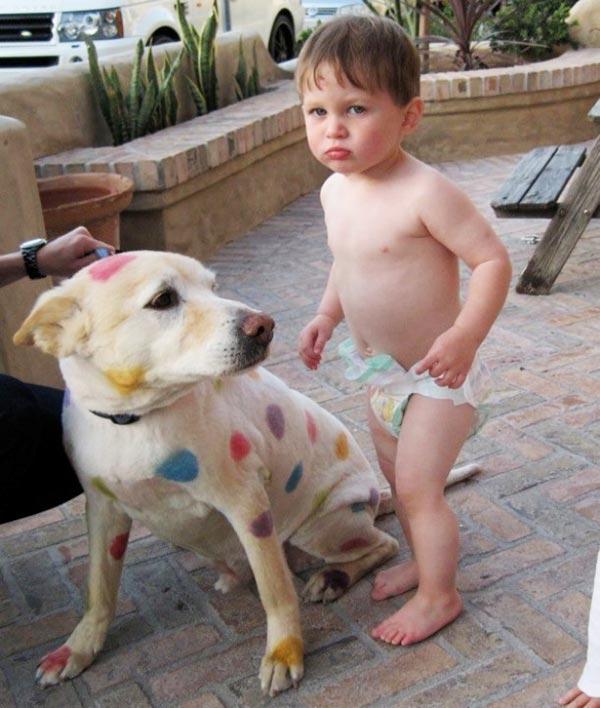  13. Θα γινόταν ακόμα και… Δαλματίας! 