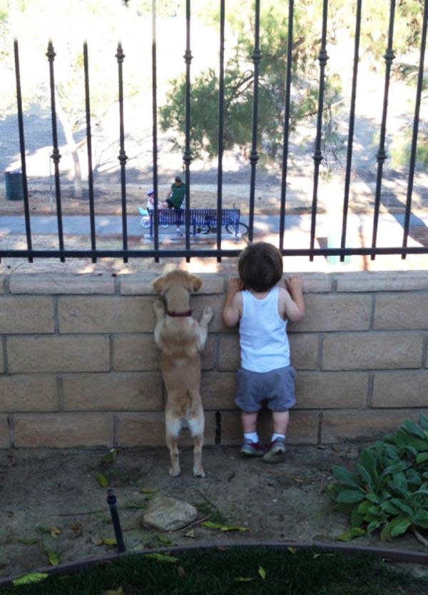  9. Θα κατασκόπευαν μαζί τους γείτονες…