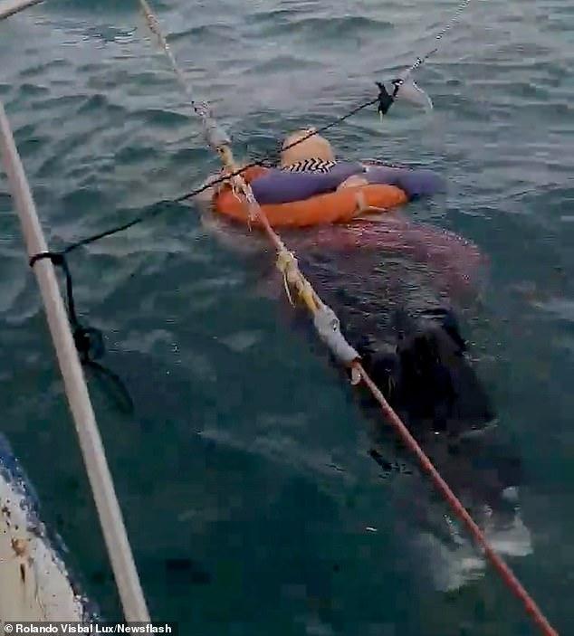 Αντζέλικα Γκαιτάν