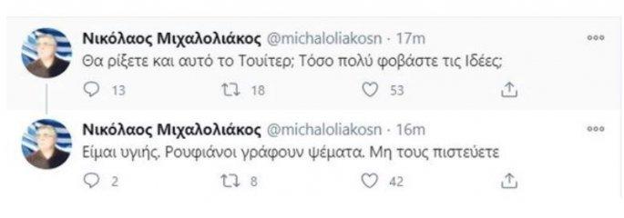 Νίκος Μιχαλολιάκος