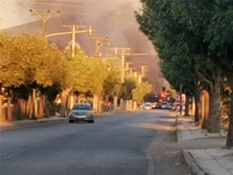 Ρομά στη Μεσσηνία