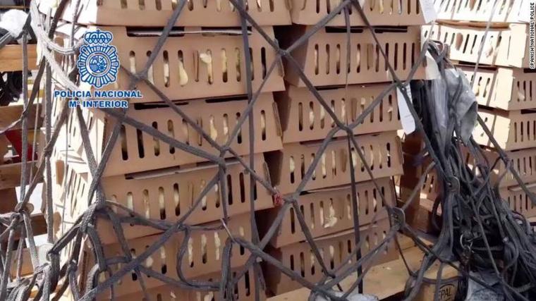 κοτοπουλάκια