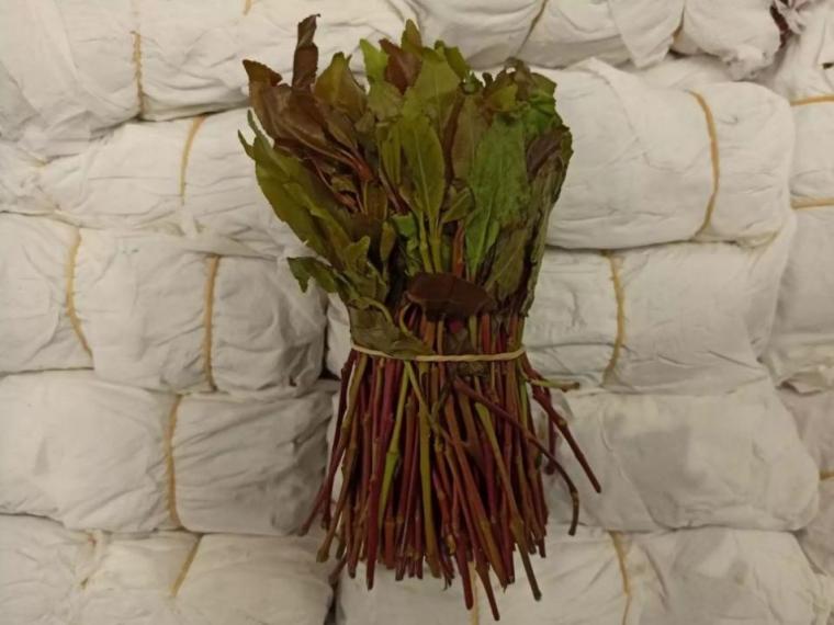 ναρκωτικό Khat